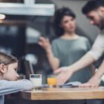 Custody Mediation With High Conflict Couples
